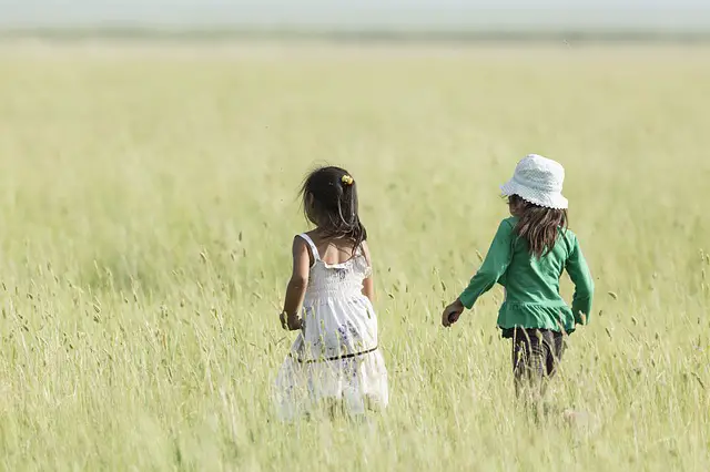 Problem Solving and Conflict Resolution