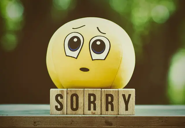 Sincerely apologize