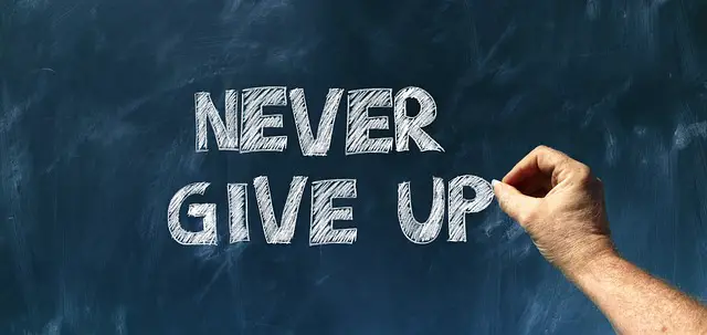 Persistence Pays Off: Quotes to Fuel Your Professional Journey
