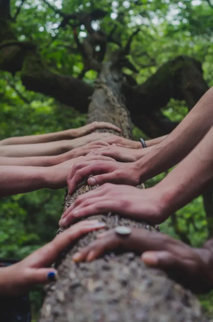 Building and maintaining trust